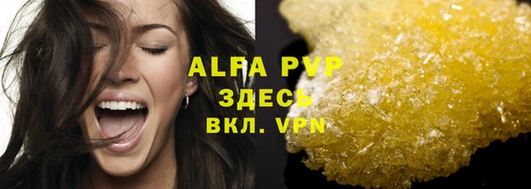 стаф Магас