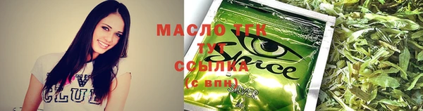 стаф Магас