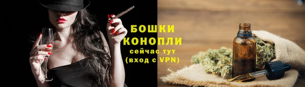 стаф Магас