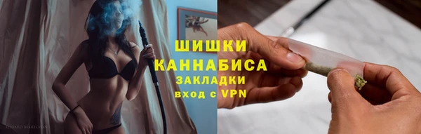 стаф Магас