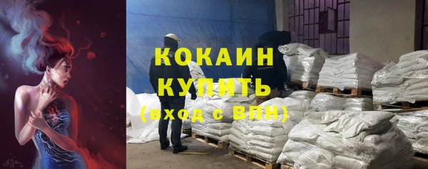 стаф Магас
